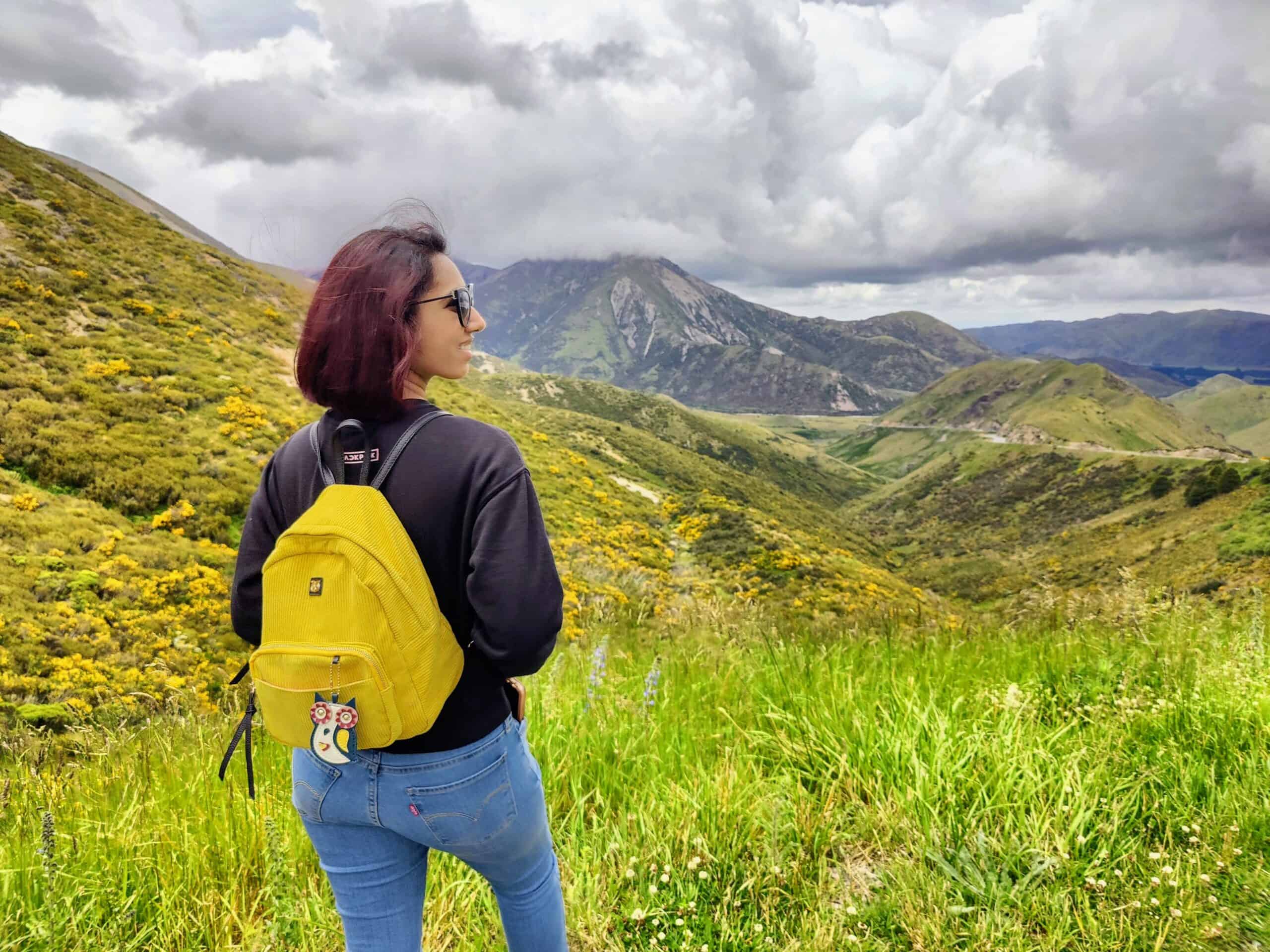 South Island Road Trip