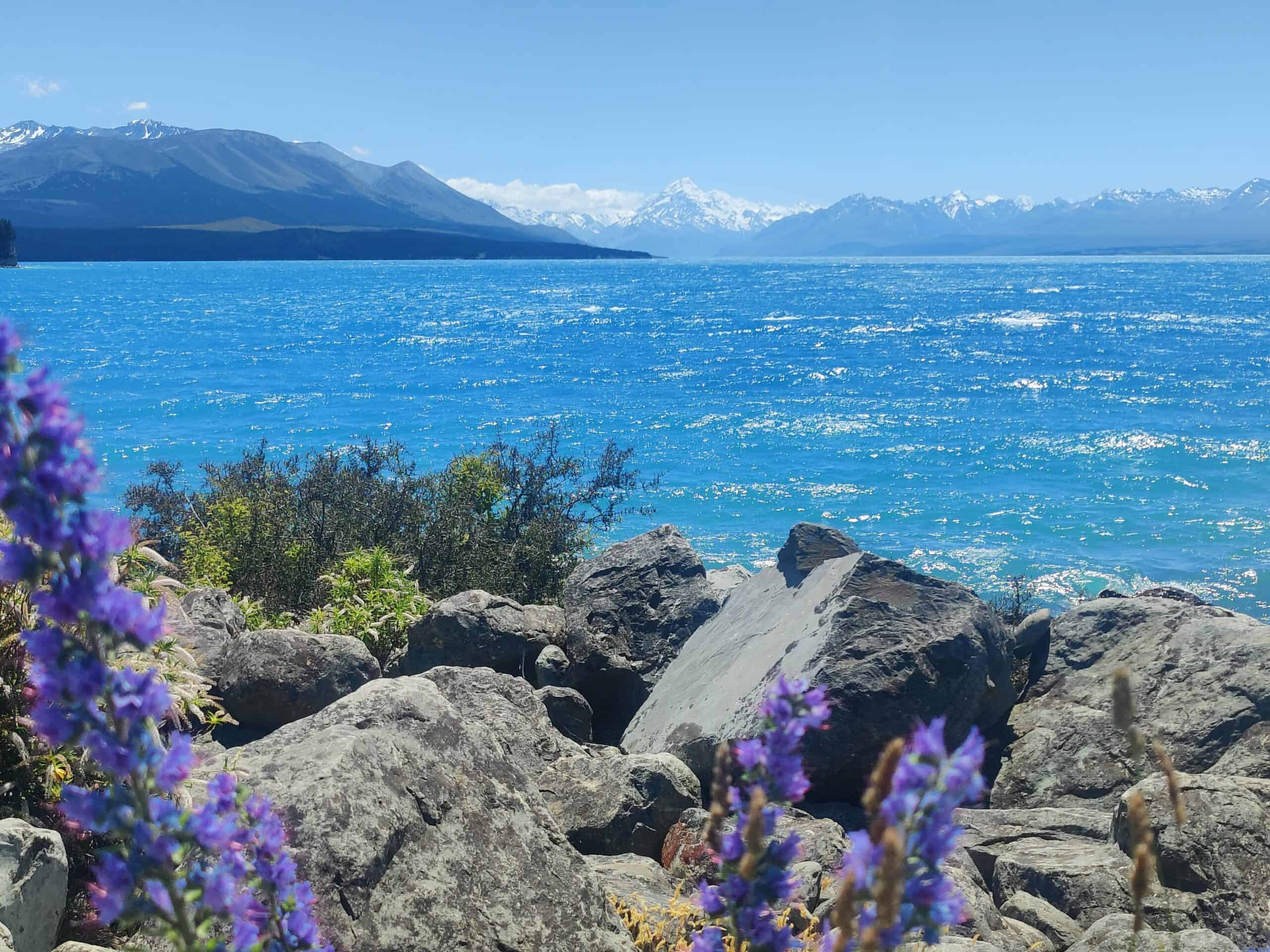 Lake Tekapo with its unbelievable colors tops the attractions in our south island road trip itinerary