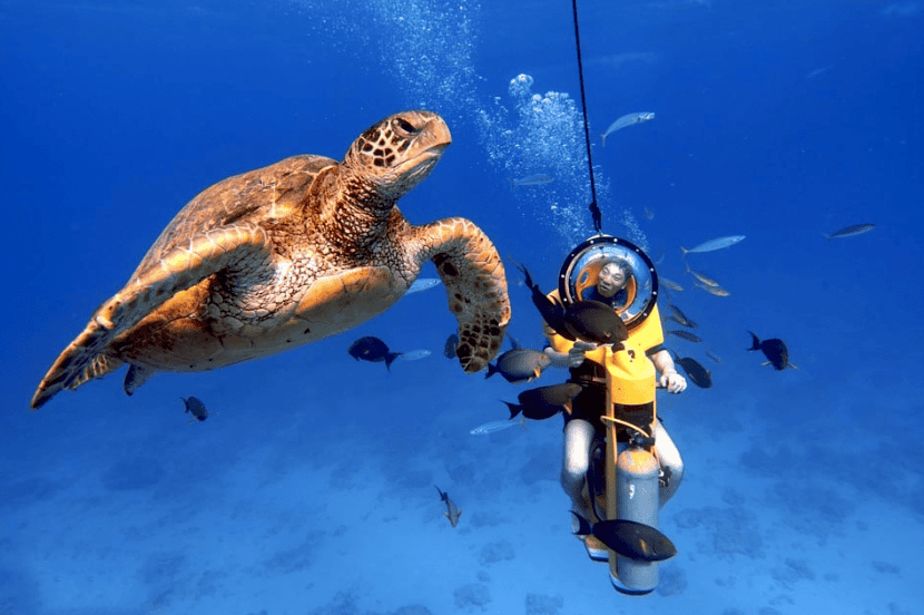 Pic credit - Island Watersports Oahu