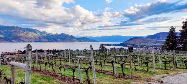 Best Winery Restaurants in Kelowna
