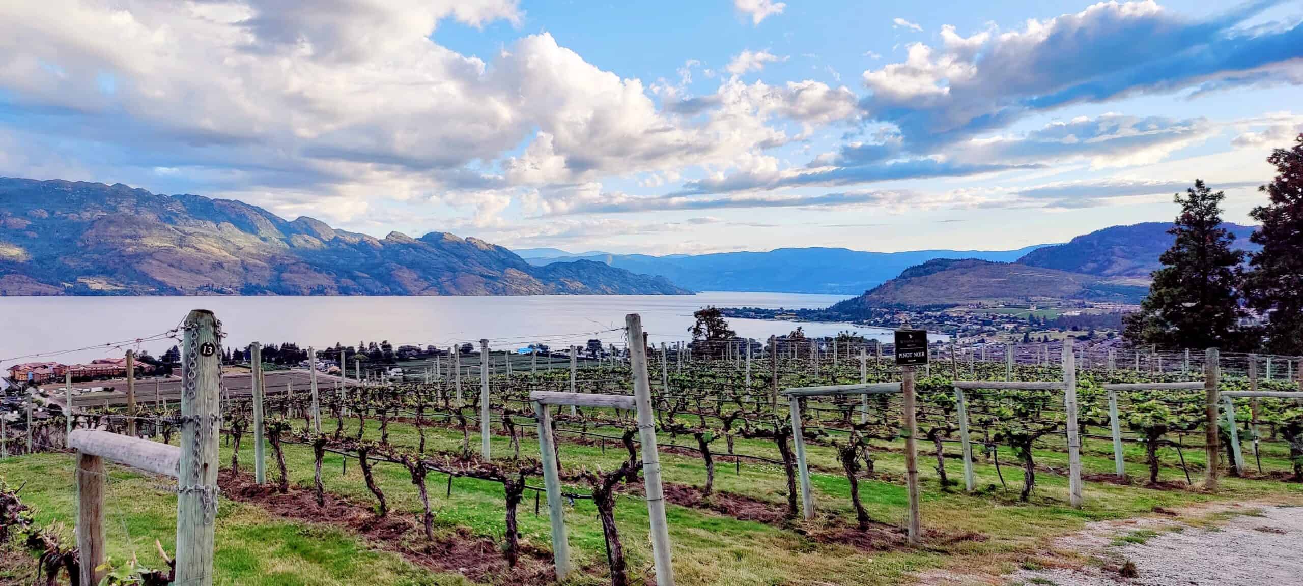 Mission Hill Family Estate, Kelowna BC