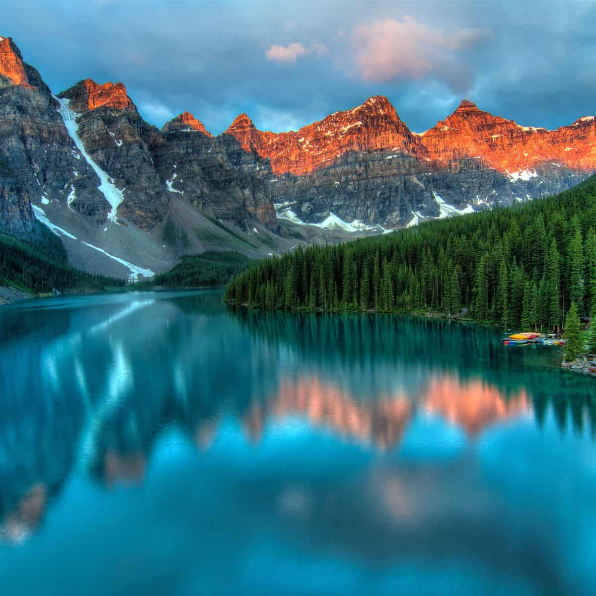 Niche - Canada Blog Posts