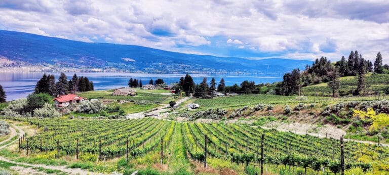 Best Wineries in Naramata