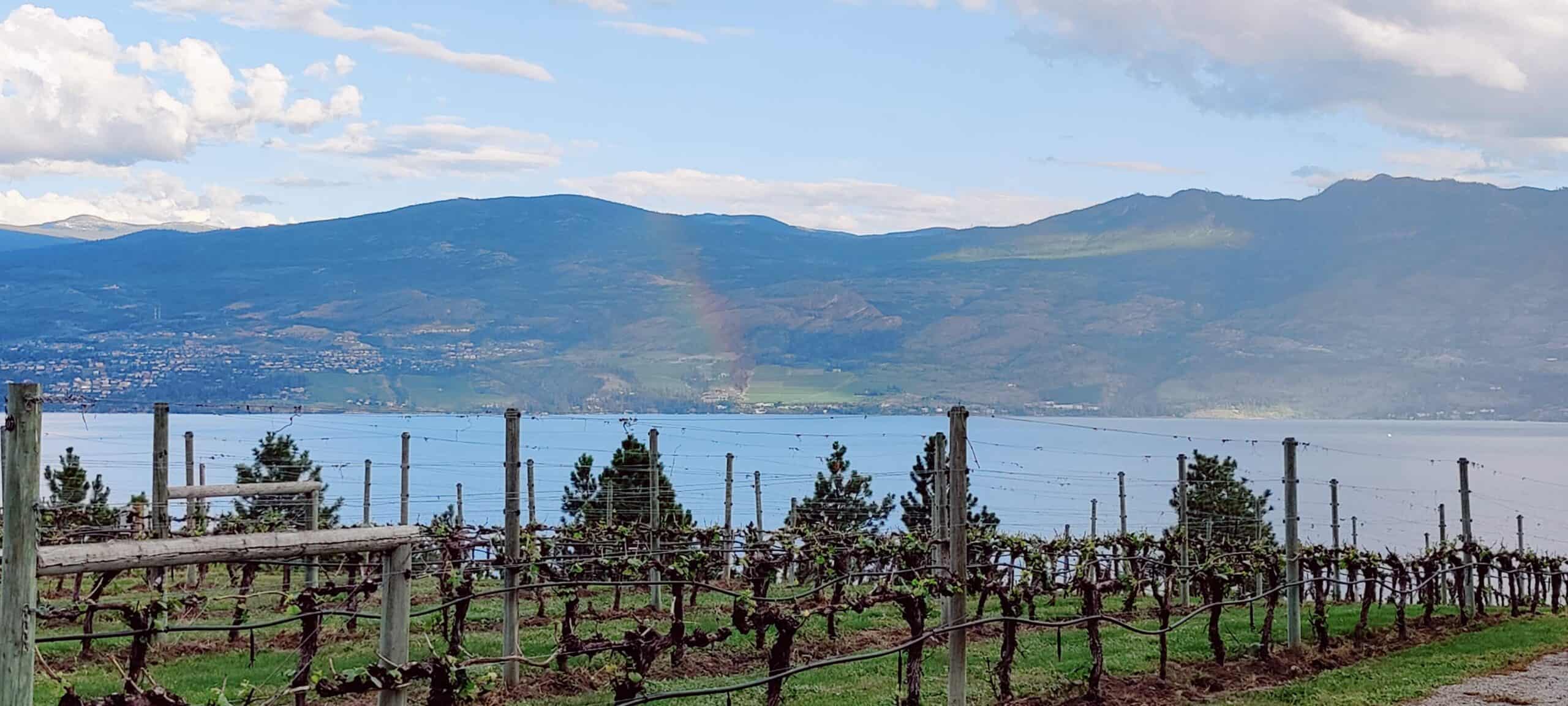 Enjoy Okanagan lake views over vineyards from any of these West Kelowna wineries