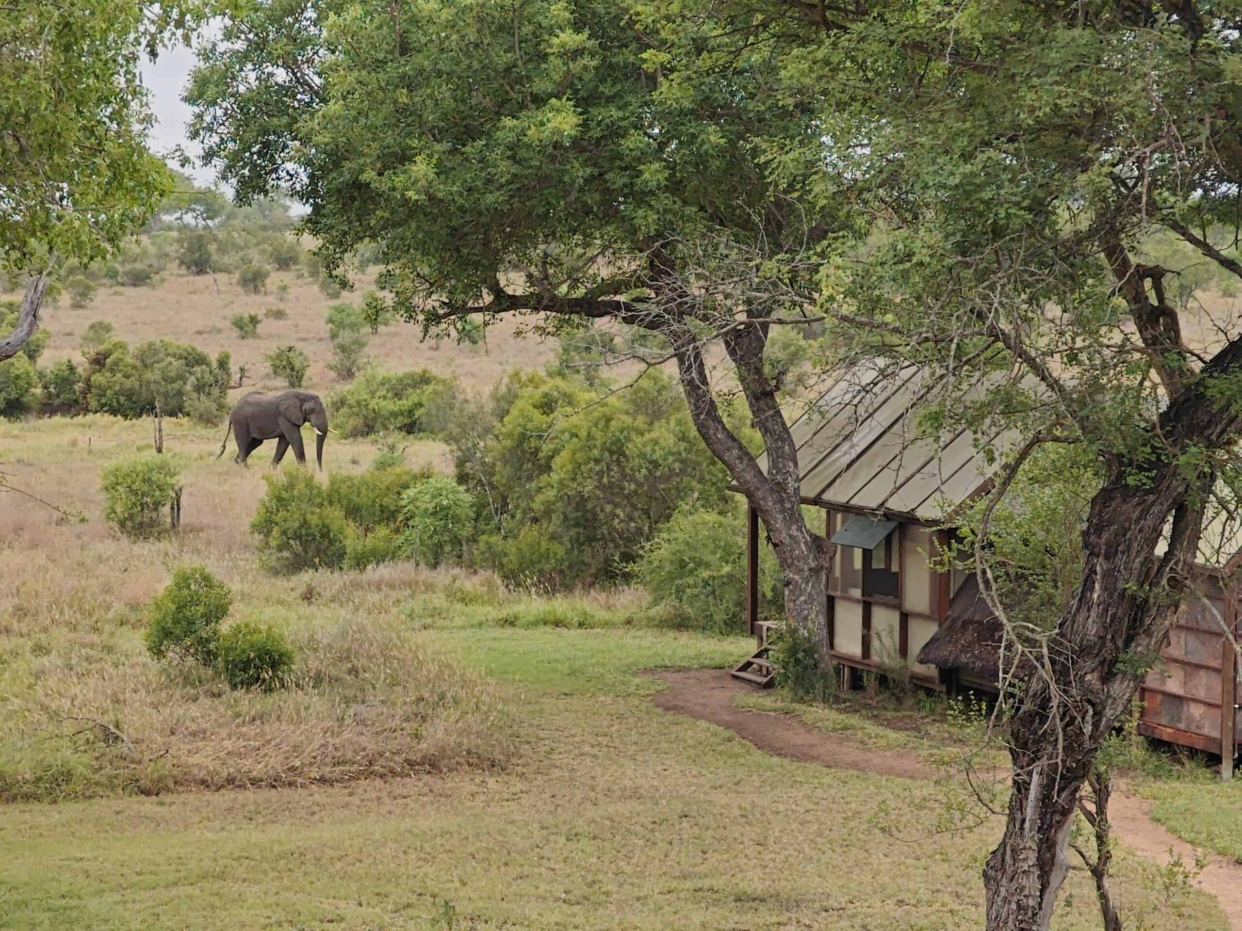 Secluded off the grid camping huts at Manyaleti reserve
