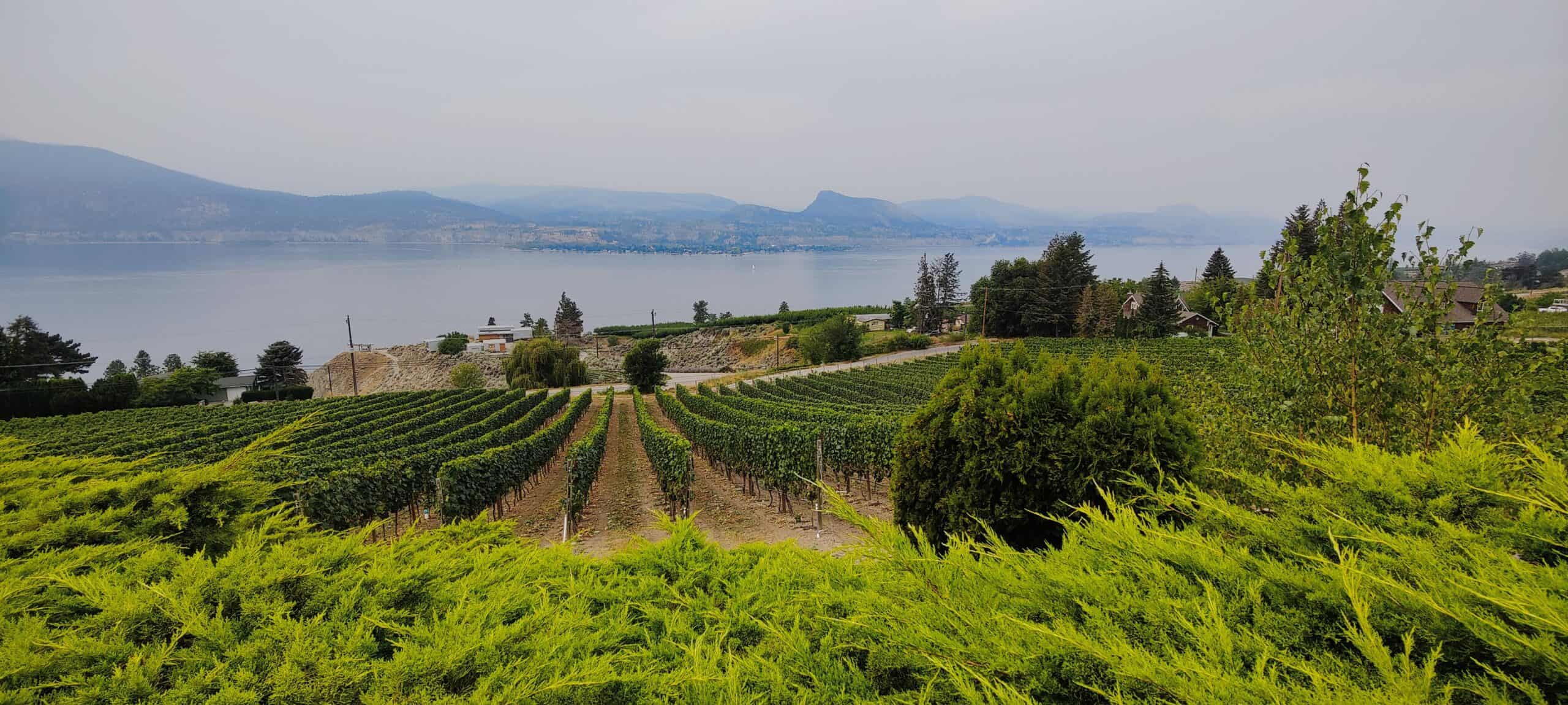 Naramata Bench