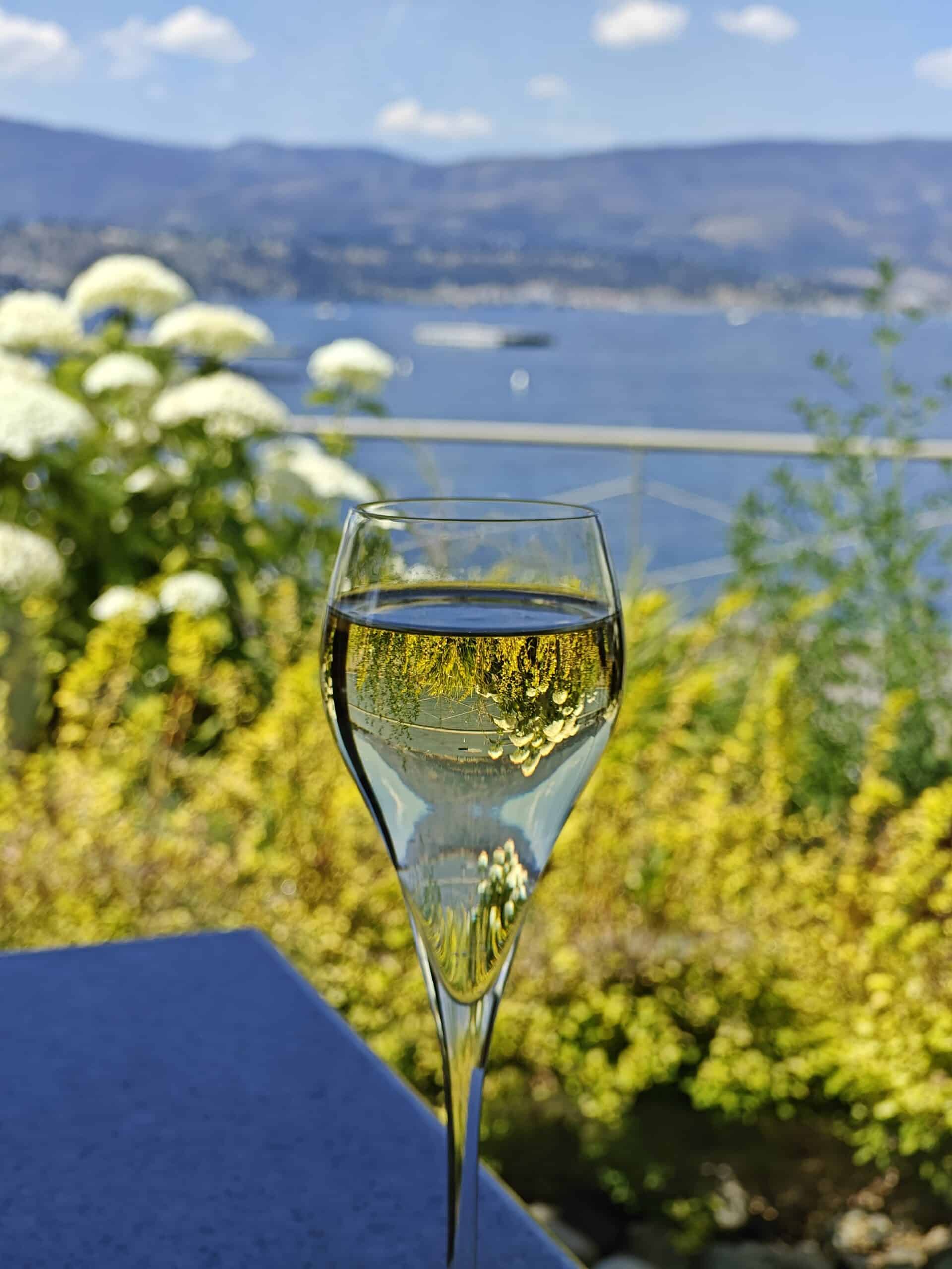 Views from Kelowna Wineries