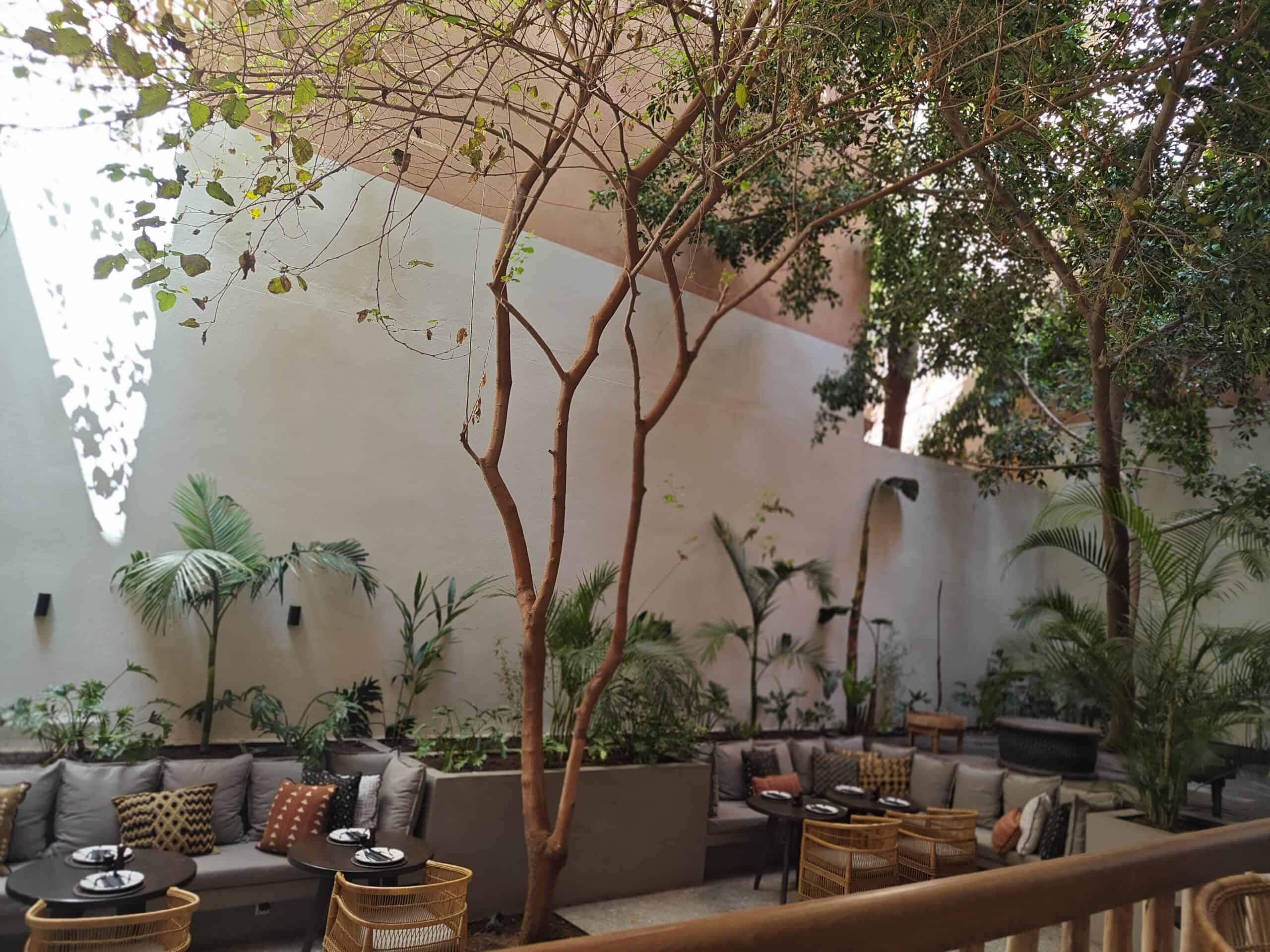 Bloom House and so many other coffee shops can help work remotely in Marrakesh itinerary