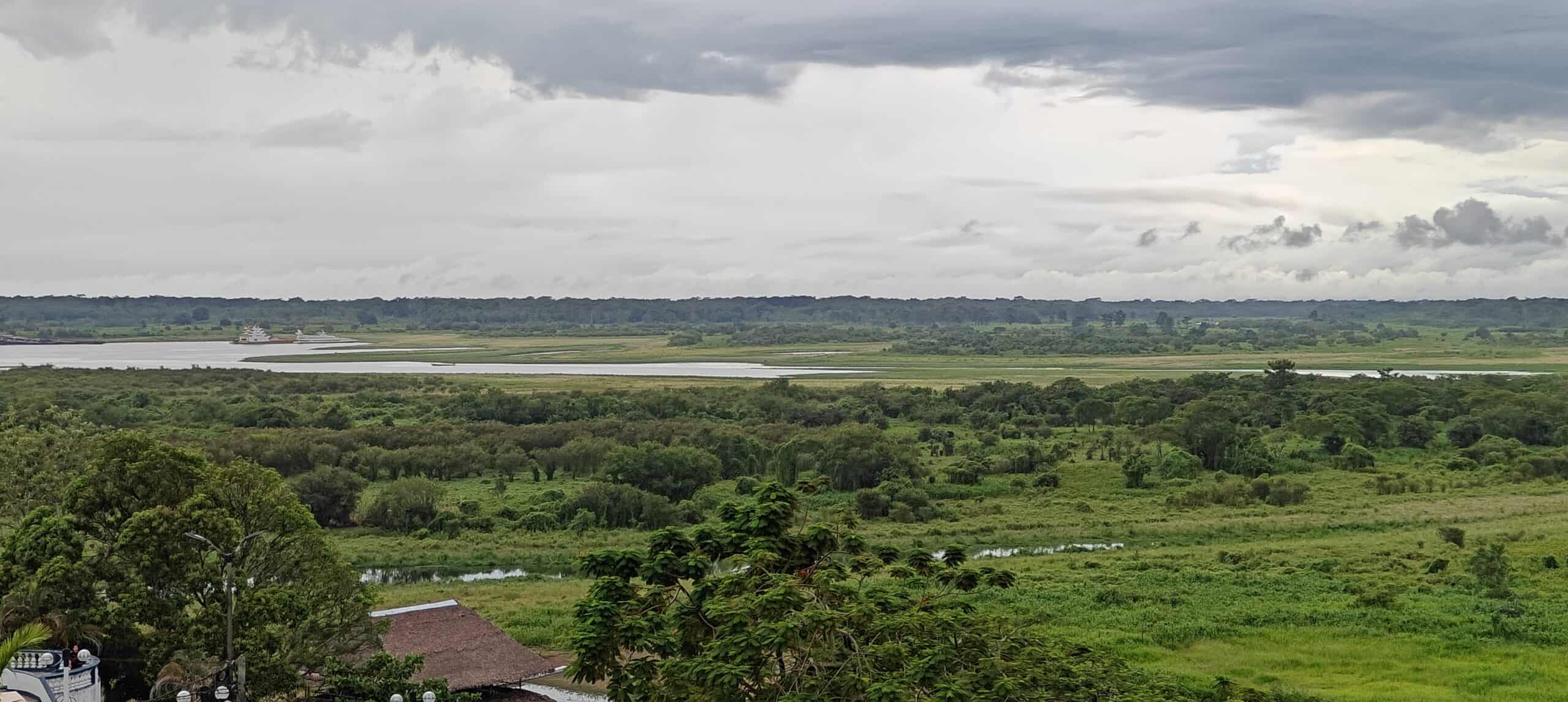 Panoramic views of the Amazon rainforest
