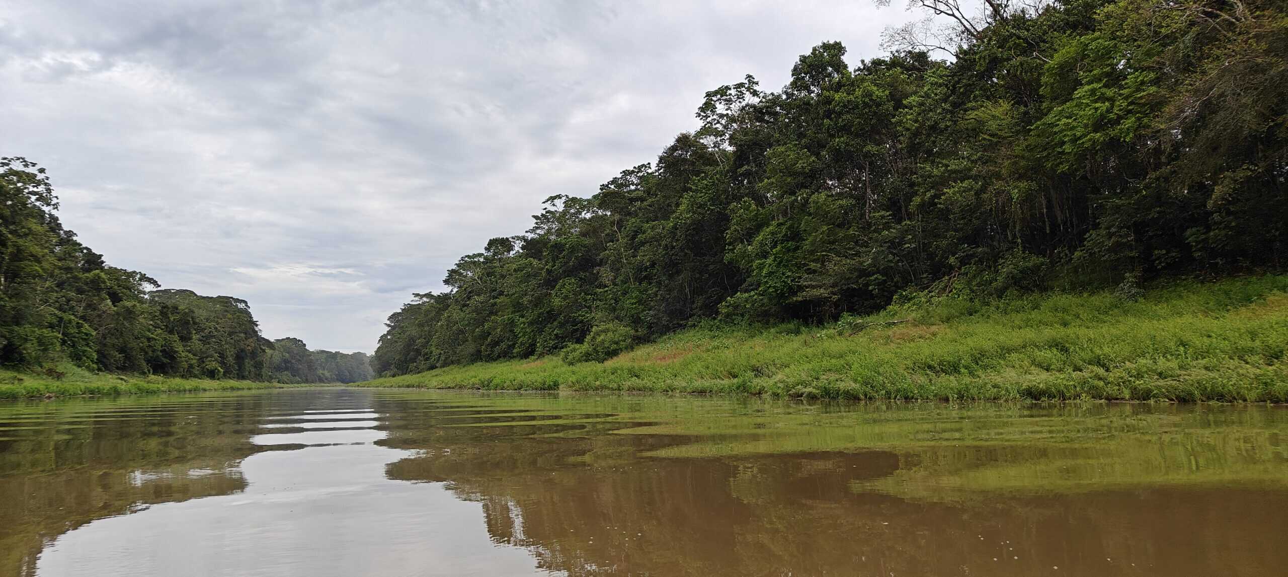 Amazon river in the Amazon rainforest