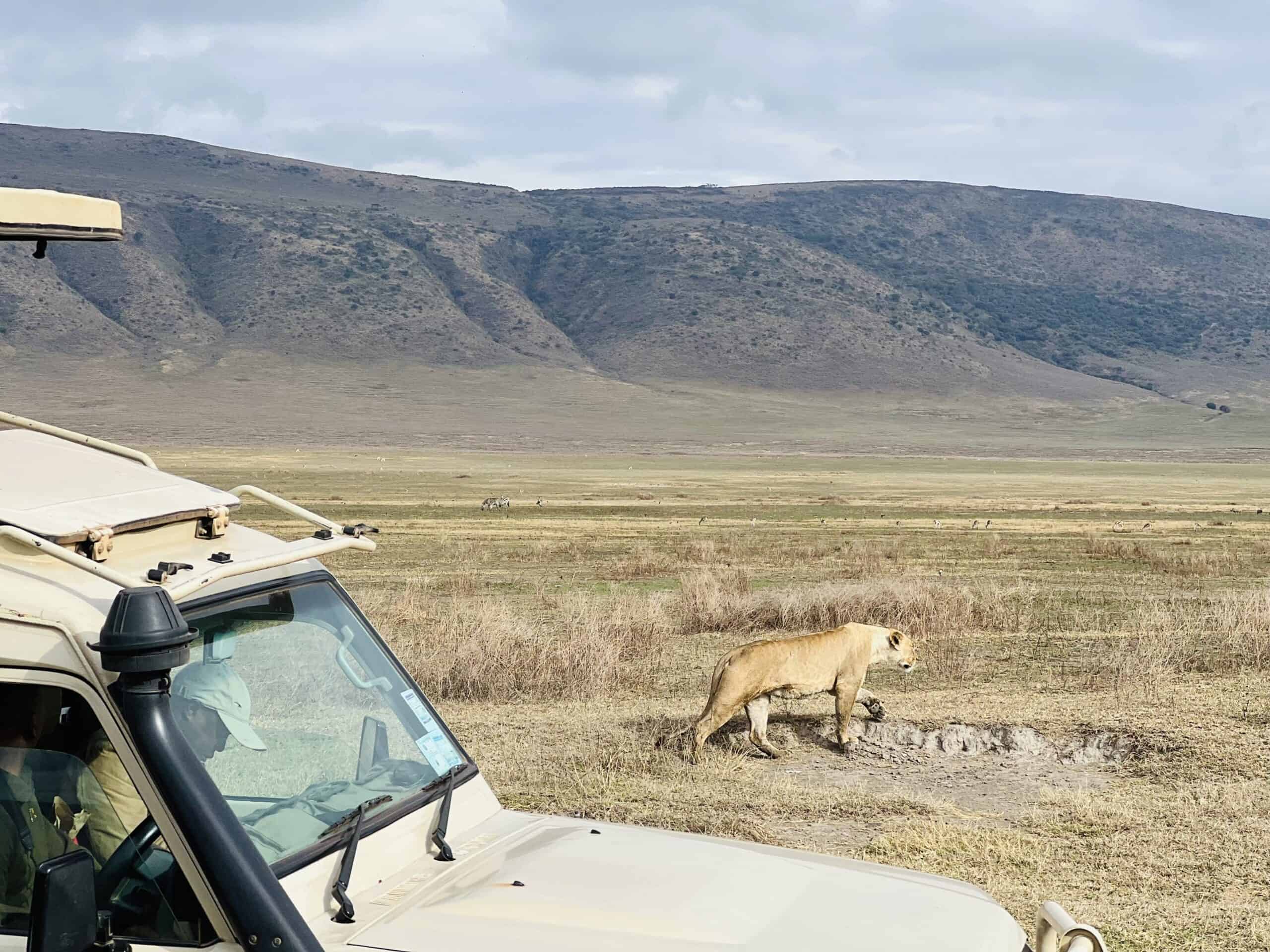 Bucket List Experiences in Tanzania - Ngorongoro Crater