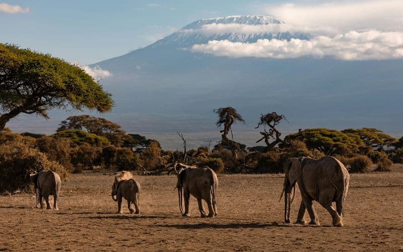 Mount Kilimanjaro